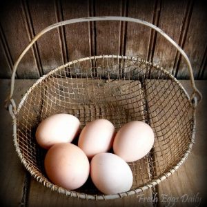 Farm Fresh Eggs In A Basket